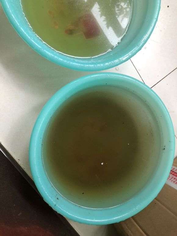 接的雨水可以用来养杜鹃下山桩吗