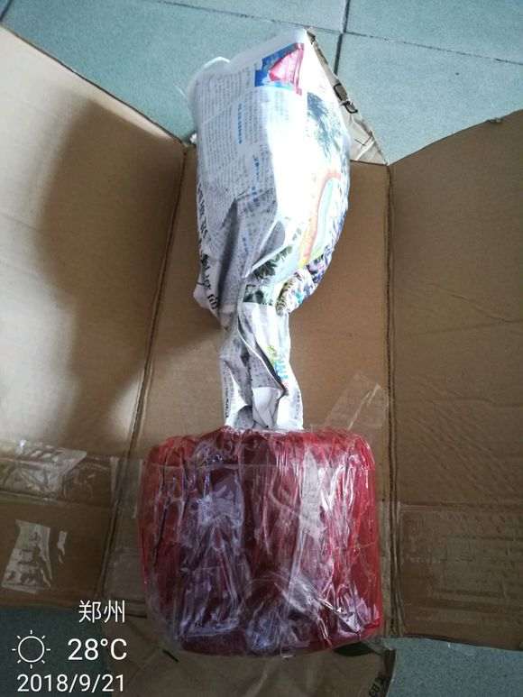 杜鹃下山桩怎么洗根上盆的方法