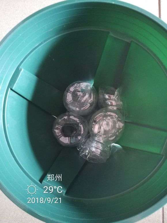 杜鹃下山桩怎么洗根上盆的方法