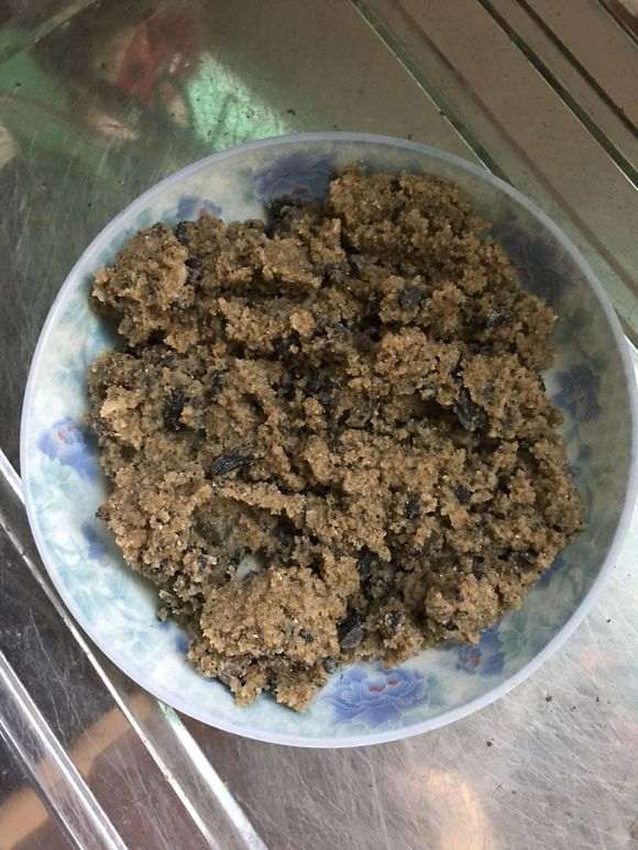 杜鹃下山桩怎么洗根的3个方法 图片