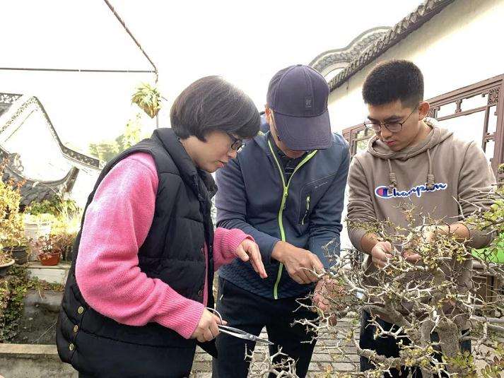 全国盆景职业技能竞赛的参赛作品