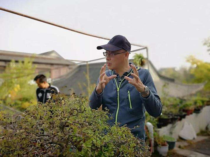 全国盆景职业技能竞赛的参赛作品