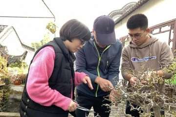 全国盆景职业技能竞赛的参赛作品