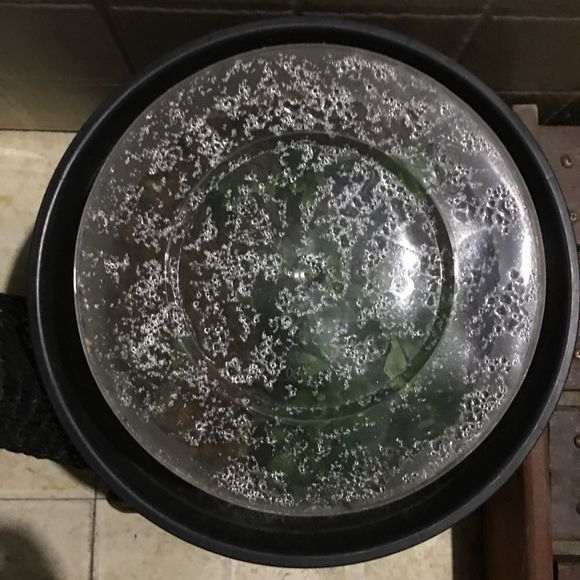 为什么杜鹃下山桩坐水确实易生细菌