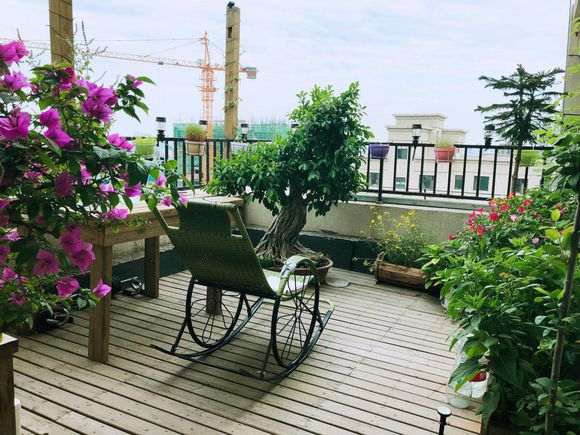 我的榕树下山桩死了吗 怎么救活 图片