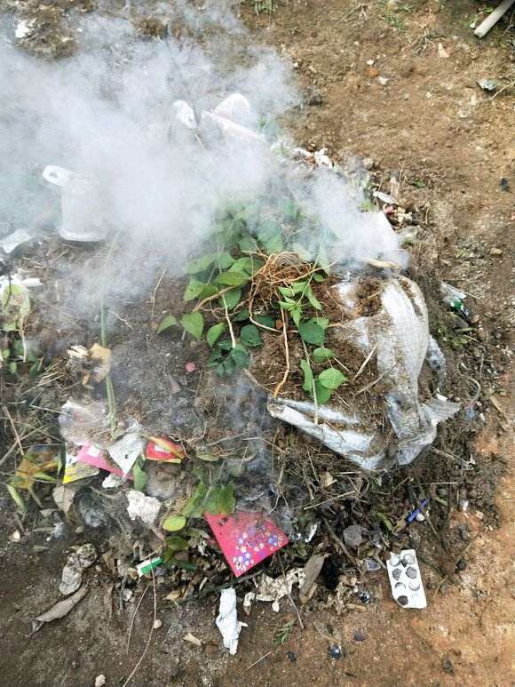 图解 榕树下山桩怎么配土上盆的方法
