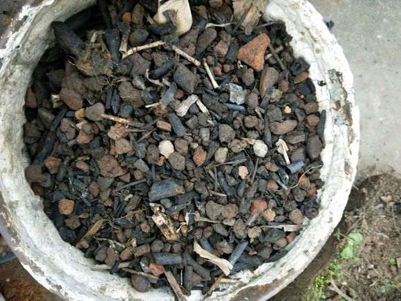 图解 榕树下山桩怎么配土上盆的方法