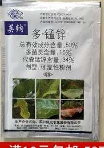 榕树下山桩的叶子像长了铁锈一样 怎么办