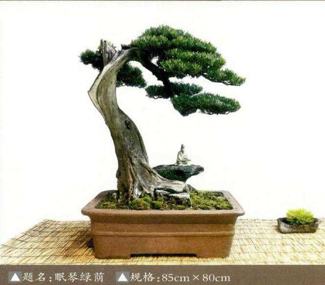 2019年中国女盆景师委员会正式成立