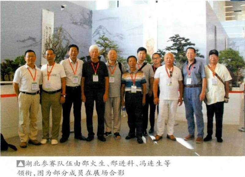 2019北京世园会盆景国际竞赛参赛作品