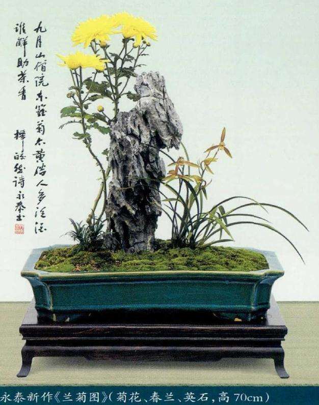 为什么岭南树木盆景始终坚持创新求变