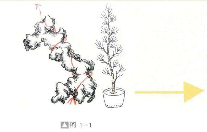 附石盆景怎么制作设计的方法 图片