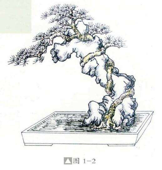 附石盆景怎么制作设计的方法 图片