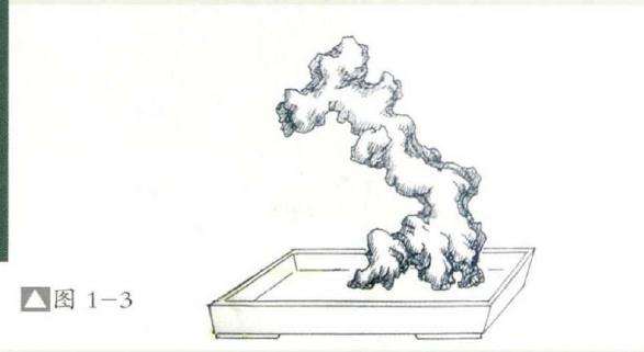 环缠式附石盆景怎么制作的方法