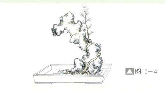 环缠式附石盆景怎么制作的方法