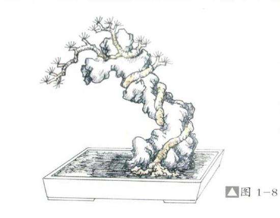 环缠式附石盆景怎么制作的方法