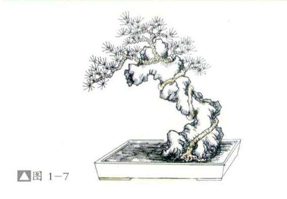 环缠式附石盆景怎么制作的方法