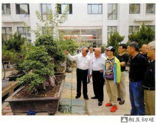 2019年 明光盆景赏石协会成立会员大会