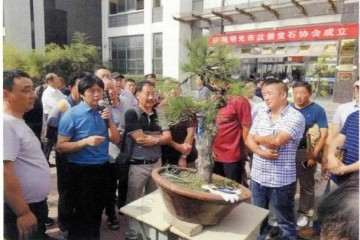 2019年 明光市盆景赏石协会成立会员大会