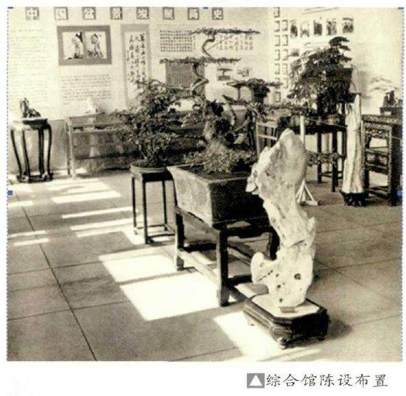 1979年 北京首届盆景展 图片