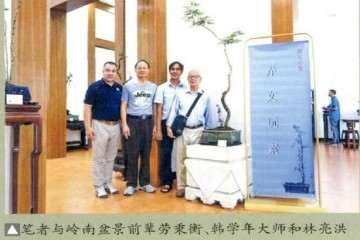 岭南盆景具体表现在这4个方面 图片