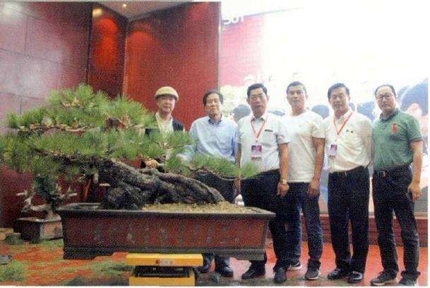 新沂市2019年中日盆景交流大会 图片