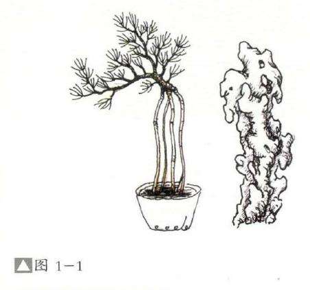 怎么设计骑石式附石盆景的方法