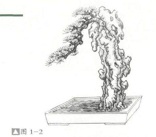 怎么设计骑石式附石盆景的方法