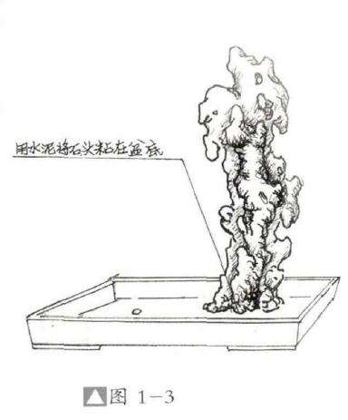 怎么设计骑石式附石盆景的方法