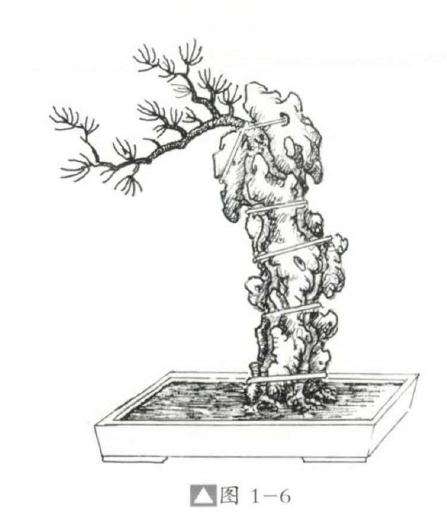 怎么设计骑石式附石盆景的方法