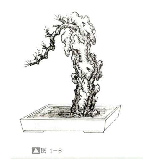 怎么设计骑石式附石盆景的方法