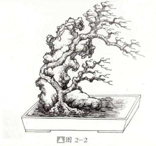 图解 怎么制作石上树式盆景的方法