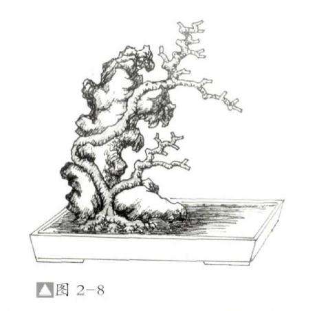 图解 怎么制作石上树式盆景的方法
