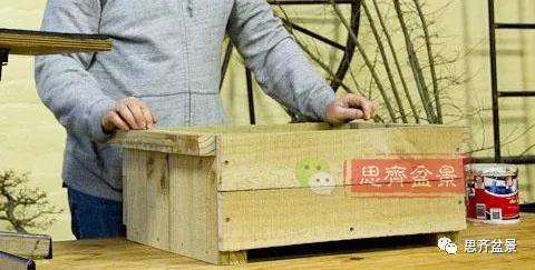 朴树下山桩怎么栽培的方法