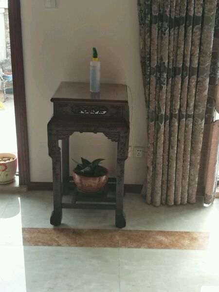 冬天赤楠下山桩能耐多低的温度 图片