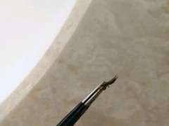 这是什么虫 好恶心 赤楠下山桩上的 图片