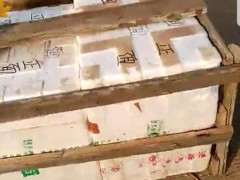 赤楠下山桩在运输中怎么包装的方法 图片