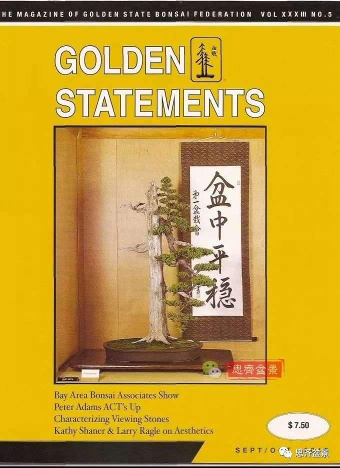 柏树盆景怎么改作的方法