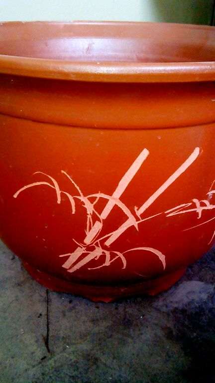 我今年要养一盆好大的石榴下山桩 图片