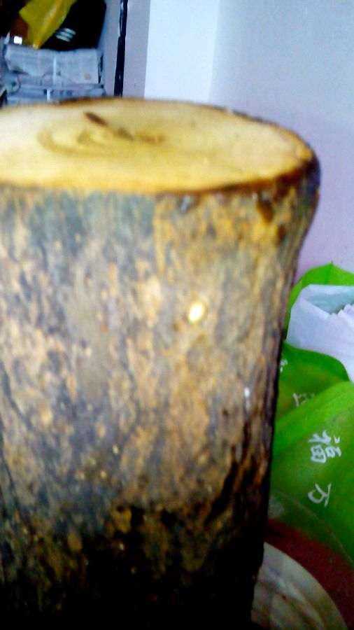 石榴下山桩刚收到 先泡水24小时 再加生根粉