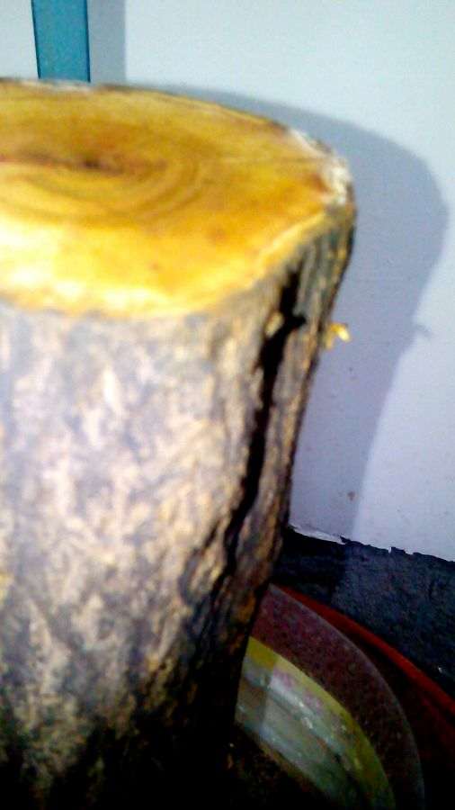 石榴下山桩的沙土是不是用盖房子用的沙子 图片