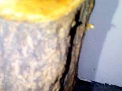 石榴下山桩的沙土是不是用盖房子用的沙子 图片