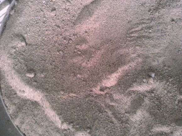 盖房子的土可以么种植石榴下山桩吗