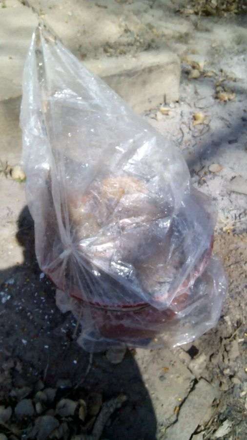 石榴下山桩几年才开花结 图片