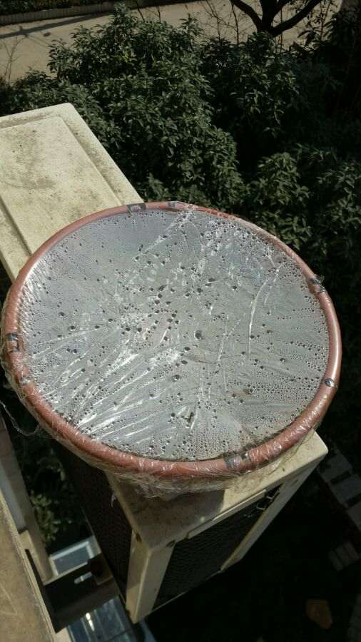 石榴下山桩如何扦插 能不能教教我 图片