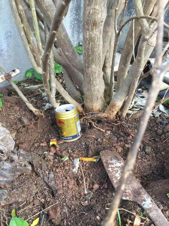 为什么石榴下山桩那么难找 图片