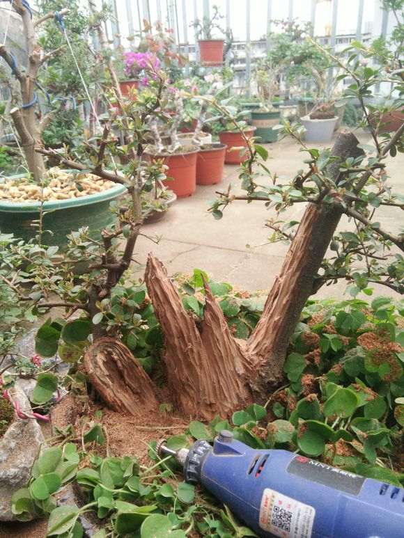 旋转磨头能磨动石榴下山桩桩吗 图片