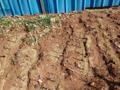 南方石榴下山桩怎么扦插的方法 图片