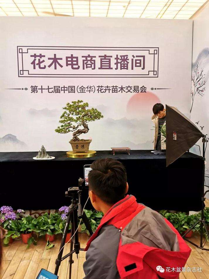 浙江花卉盆景产业给我们带来什么启示