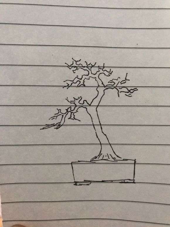 石榴下山桩当年新枝不开花吗 图片